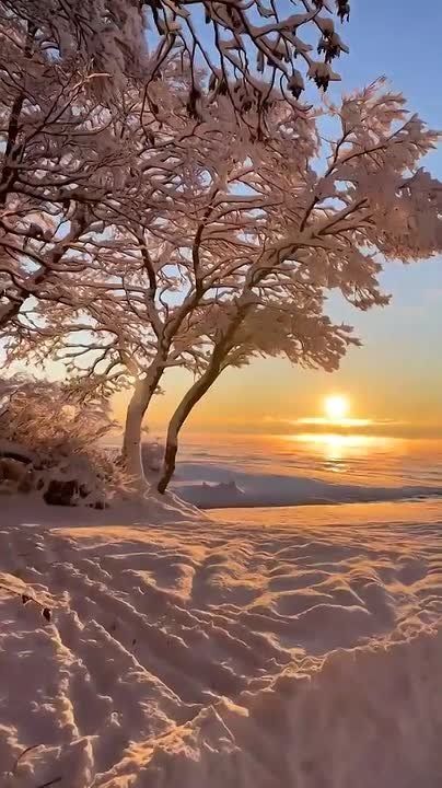 ������ ����!. ������� � �����������, 16 �������