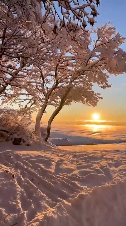 Доброе утро!. Сегодня — понедельник, 16 февраля