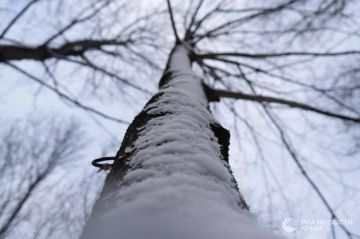 ������ �� ����� ����������� ������