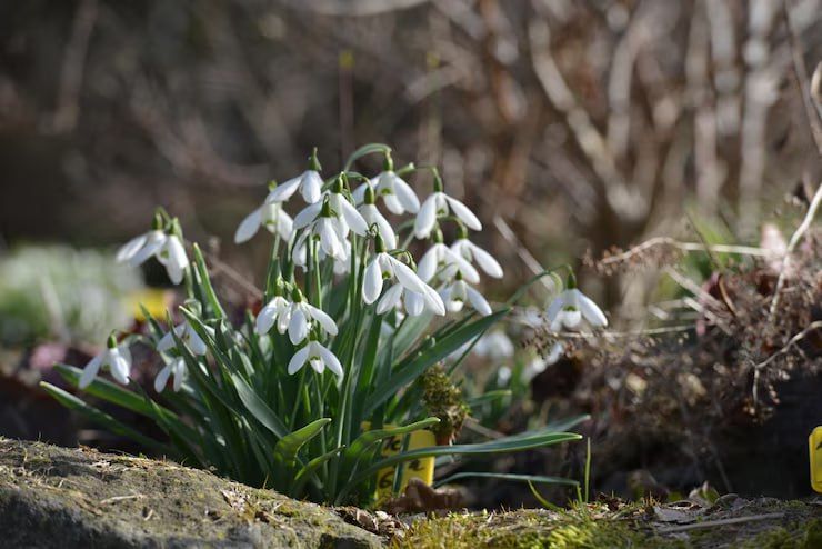 ������ ����!. �����, 25 ������� � � ������� ��� ����� ��� ������ �������� �����! �� ���� � ������ �����������, ������� ����������� ������ ��� �������� �����