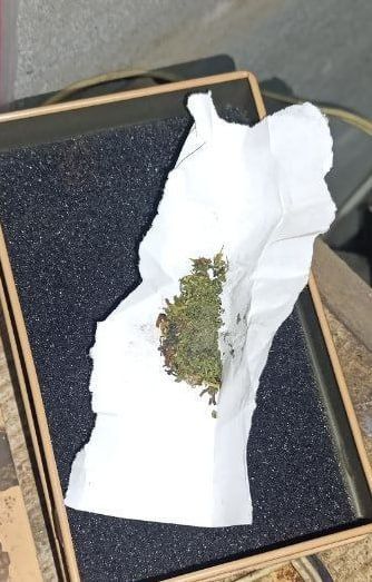 � ���������� �������� �������������