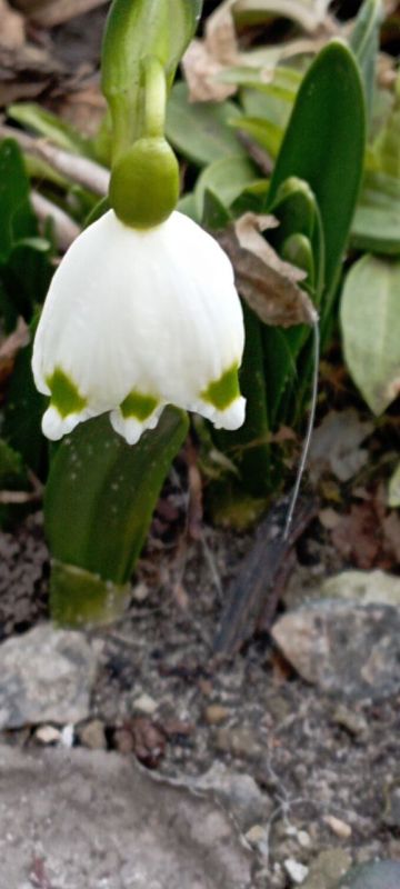 Доброе утро!. Сегодня суббота, 7 марта — последний день перед праздником весны! Прогноз погоды на сегодня: