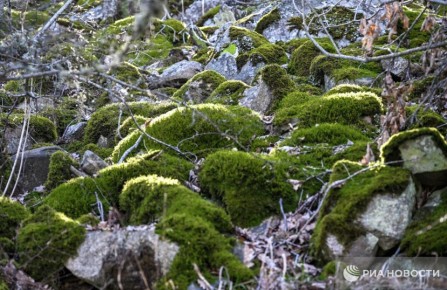 ������ �� ����� ����������� ������