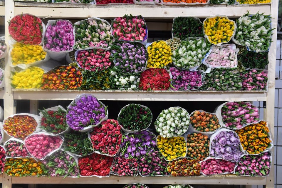 � ����������� ������� ������� ��������� ��� ������� ������