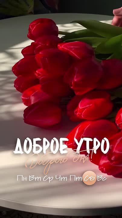 Доброго утра, дорогие мелитопольцы!!!