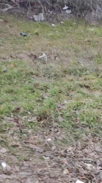 Жители Мелитополя пожаловались на работу коммунальных служб