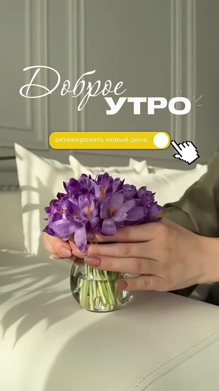 Доброго утра, дорогие мелитопольцы!!!