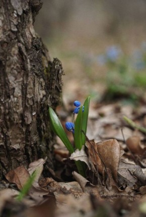 ������ ����!. ������� �������, 10 �����