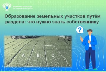 Разделить земельный участок: пошаговое руководство для собственников