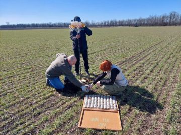 В Запорожской области провели первые весенние обследования почв