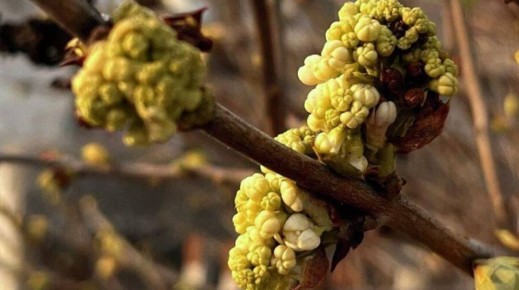 Погода на новых территориях России