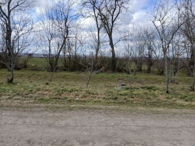 Сотрудники МБУ «Жилсервис» продолжают работы по наведению порядка на территории Зареченского территориального отдела