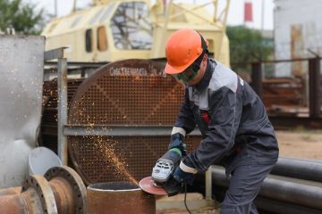 ���� �� ������������ ��������������� ������� ����������� � ����������