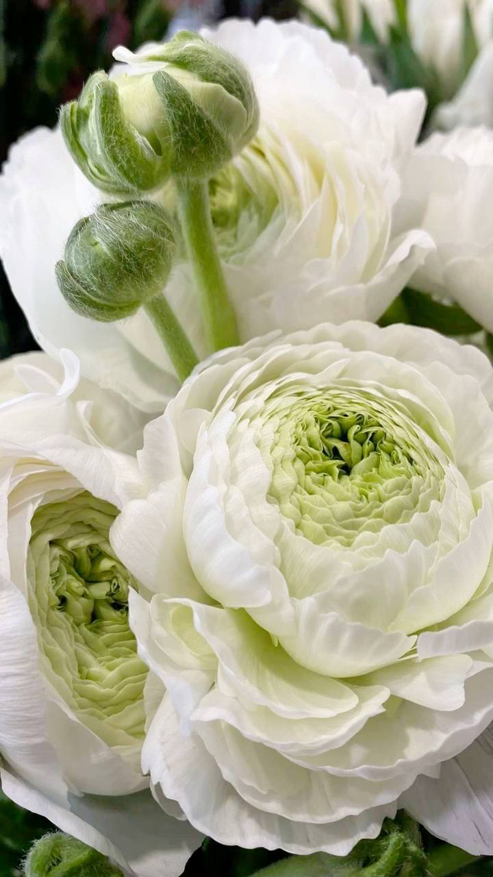 Доброе утро!. 23марта, понедельник Начало недели — хорошее время спокойно войти в ритм и наметить планы на ближайшие дни