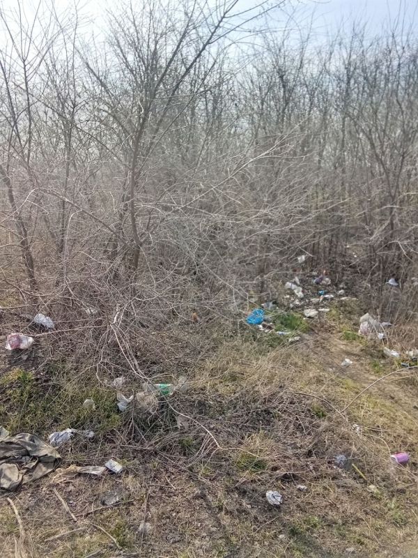 Сотрудники МБУ «Жилсервис» завершили уборку участка трассы Т-08-05 от трассы М-14 до села Новониколаевка