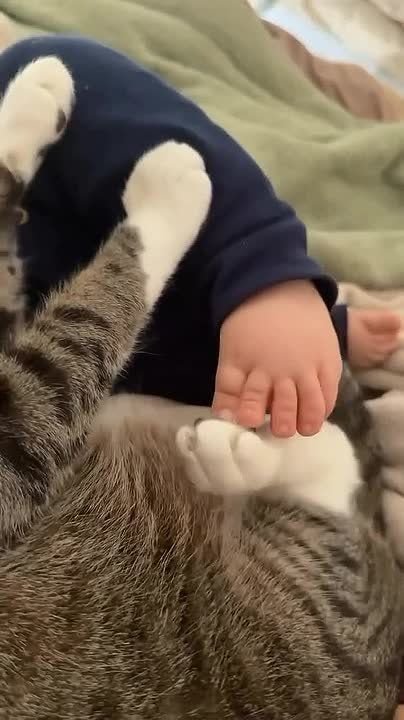 ���� �������� �� ������ ��� ������, �� � ��� ����, ����� �������� ������ ��, ��� ��� ������ �������� �������