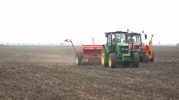 В Запорожской области продолжается посевная кампания