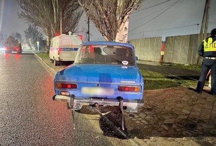 В Мелитополе местный житель угнал автомобиль и врезался в дерево