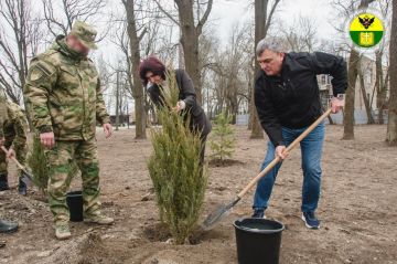 Партийцы Единой России поддержали инициативу Росгвардии в высадке аллеи в парке «Участников СВО»