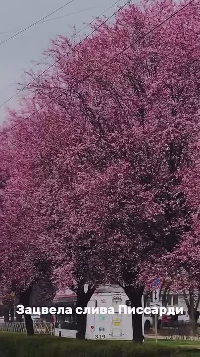 Если планируете поездку на выходные - сейчас отличный повод заглянуть в Краснодар