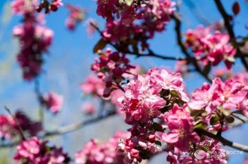 ������ �� ����� ����������� ������