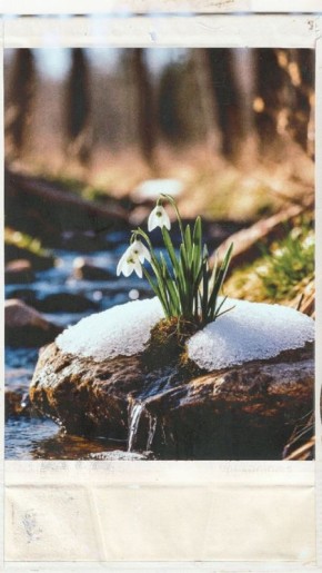 ����� ���������� � �����!. ����� ���������� ���������