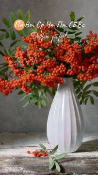 Доброго утра, дорогие мелитопольцы!!!