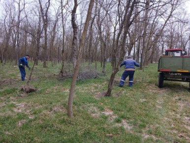 ������ ����. ���������� ��� ���������� ������� ������ �� ��������� ������� � ����������� ��������������� ������