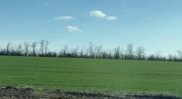 30 марта, понедельник. Доброе утро! Осталось всего два дня до окончания марта — пусть они будут продуктивными и приятными Прогноз погоды на сегодня: