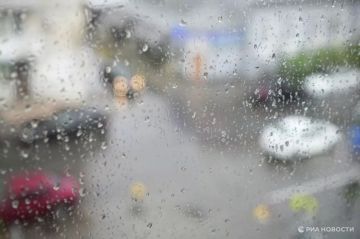 Погода на новых территориях России