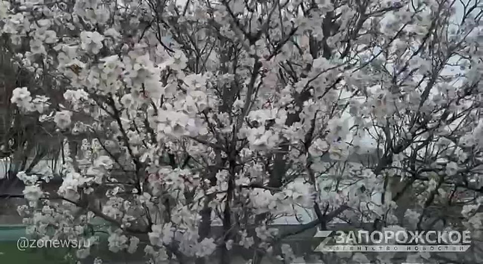 ����� � ���������� ������ ������ ��������� ���������: ������� ������� � ������ ������ ������