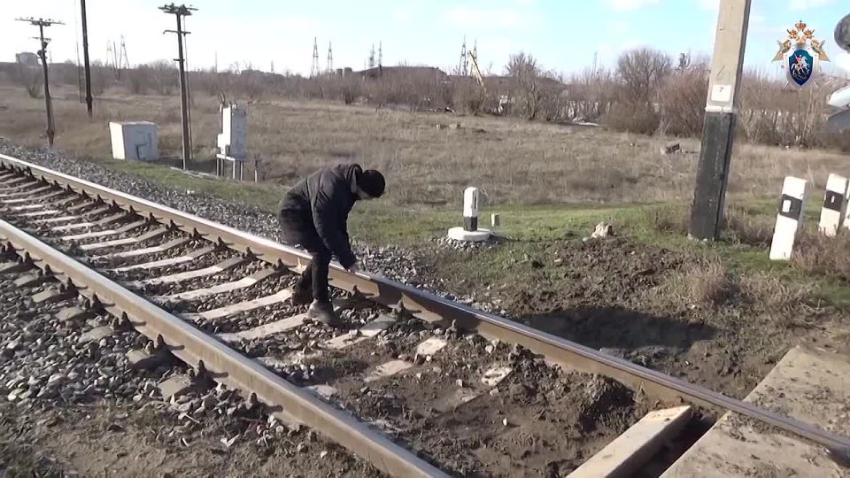 ������ ������� ������� 20 ��� ������� ������� �� ���������������� ������������ �� ���������� ����������� �������