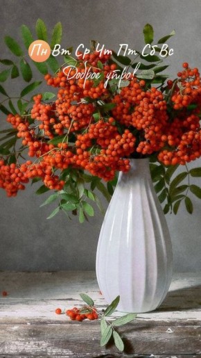 Доброго утра, дорогие мелитопольцы!!!