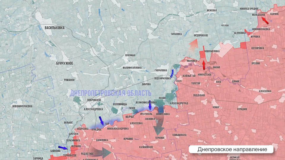 Олег Царёв: Фронтовая сводка 31 марта. На Херсонском направлении ВС РФ непрерывно ведут разведку и наносят удары по позициям ВСУ