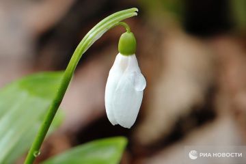 ������ �� ����� ����������� ������