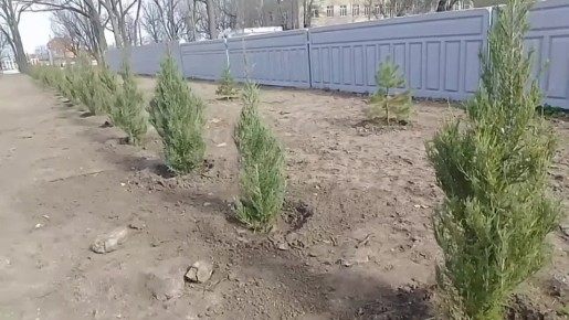 � ����� ����������� ��λ � ���������� �������� ����� ���������� � ����� 10-����� ��������� � 215-����� ����� ������������