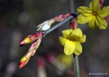 Погода на новых территориях России