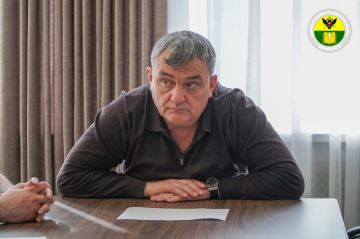 ������ ��������: ���������� ������� ������� �� ������� ������������ ������������ ��������������