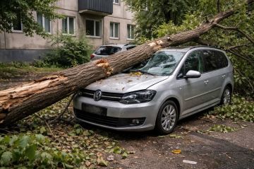 ����������� �������� �������� ����������� �� ������� �� ���������� ������