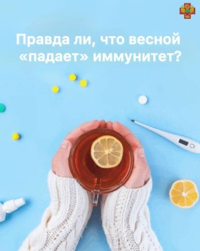 ������ ����� - �� ������ � ��� ������ ��������, ��������� � ��������, ��� ��� ����� ������