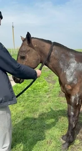 ������, ������ ��� ��������� � ����������� �������������� ������, ��� �������� �� ���������������� ����� ���������� �� ������ ����� ������� ��������� �������