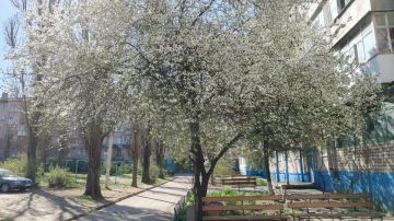 ����-������� ������: � ���������� ������� ��������� �������