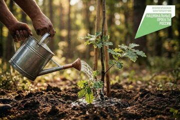 Сергей Золотарёв: Развиваем экотуризм. Наша область обладает уникальными природными уголками