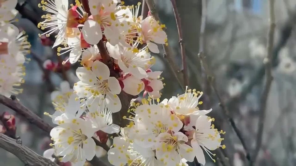 ������ ����!. �����, 8 ������ 2026 �. �������� ���� � �������� � � ����� ����� ����� �����