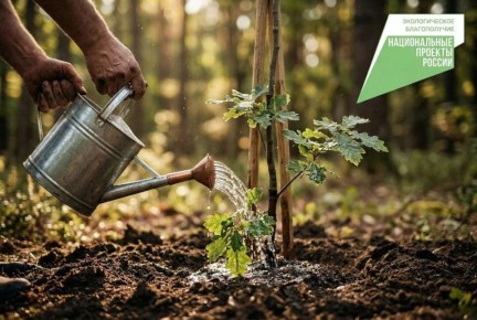 Сергей Золотарёв: Развиваем экотуризм. Наша область обладает уникальными природными уголками