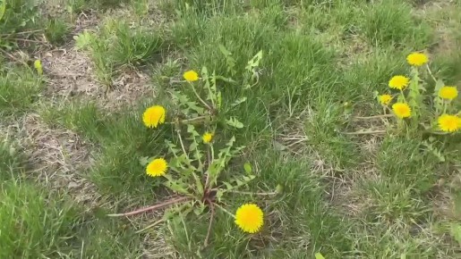 � ���������� ��������� ��������� ����� � ������� ������� ����� ������ ����������, ������ ��������� ������ �������� �����