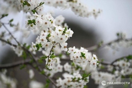 Погода на новых территориях России