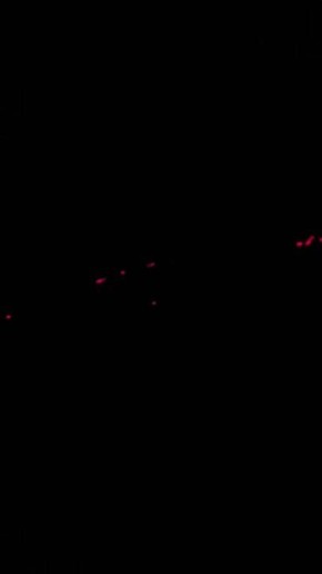 Дмитрий Рогозин: Мелитопольские вечера