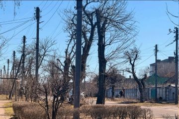 ������ ������������ � ������: ����� ������ ����� � ����������� ������� 15 ������ 2026 ����