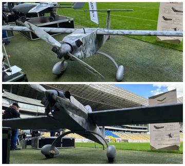 "Зозуля" ("Кукушка"). Украинский ударный дрон с 50 кг взрывчатки